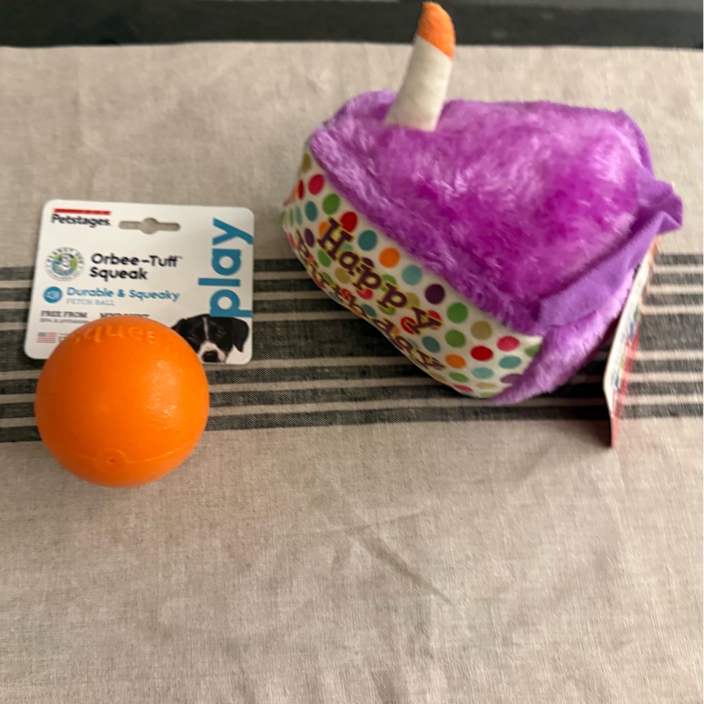 Squeak Toy Birthday Pack for Dog